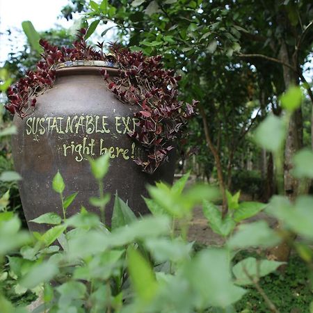 Thuy Bieu Homestay Hue Εξωτερικό φωτογραφία