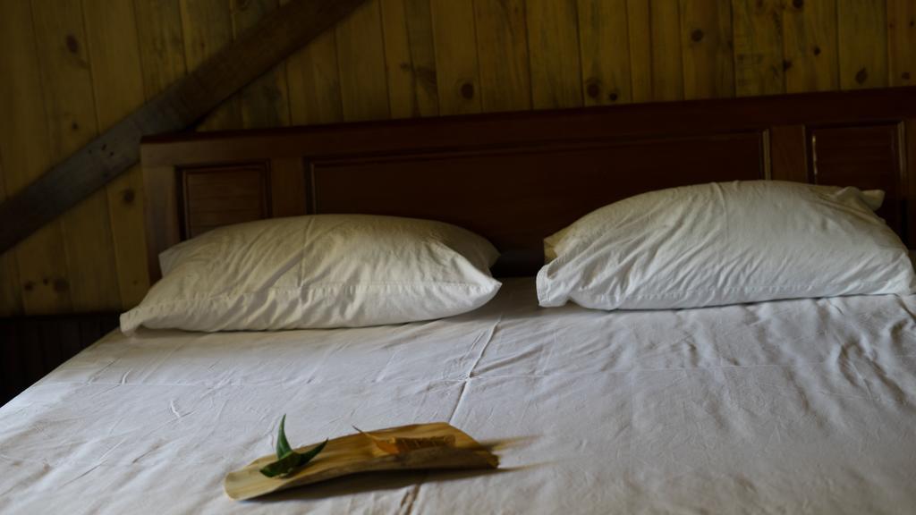 Thuy Bieu Homestay Hue Εξωτερικό φωτογραφία