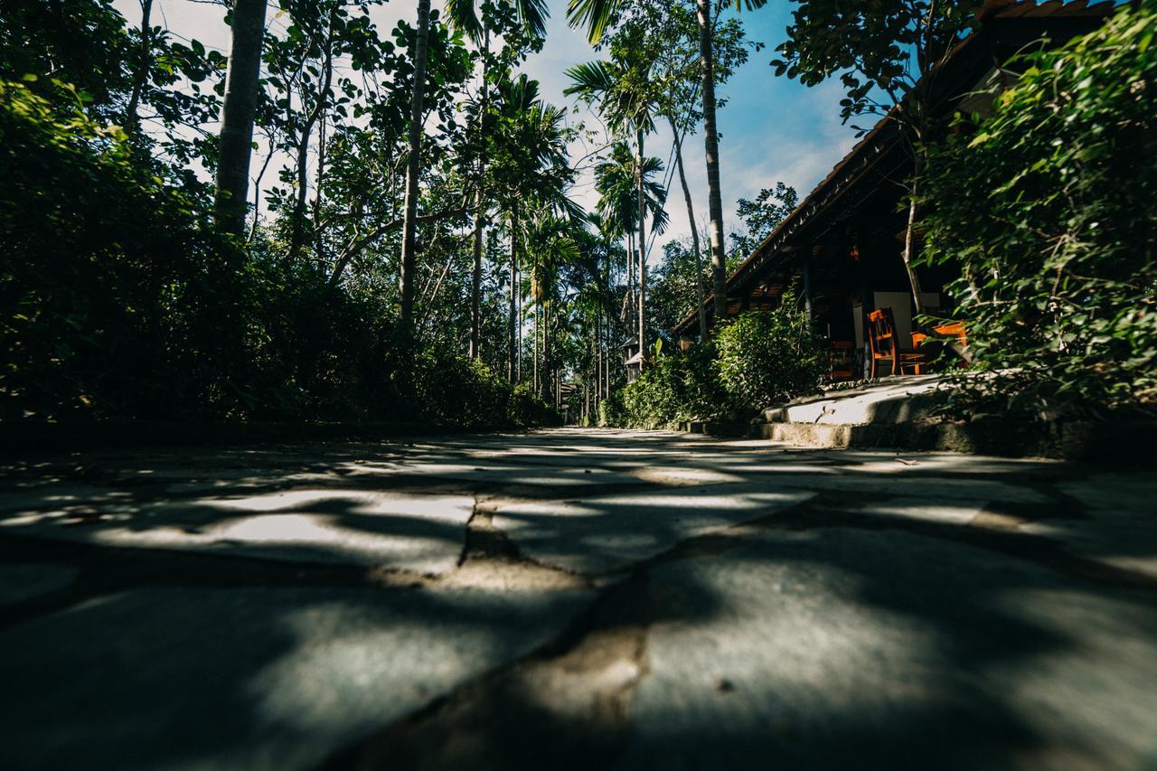 Thuy Bieu Homestay Hue Δωμάτιο φωτογραφία