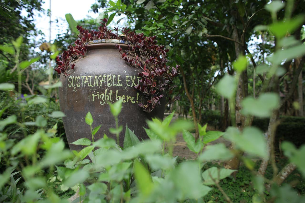 Thuy Bieu Homestay Hue Εξωτερικό φωτογραφία