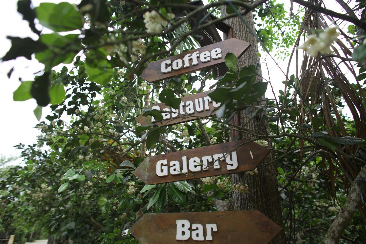Thuy Bieu Homestay Hue Εξωτερικό φωτογραφία