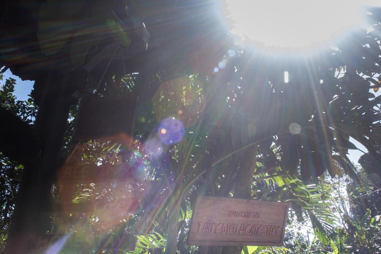 Thuy Bieu Homestay Hue Δωμάτιο φωτογραφία